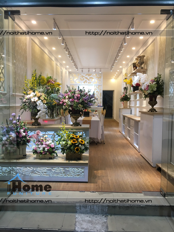 thiết kế shop hải phòng